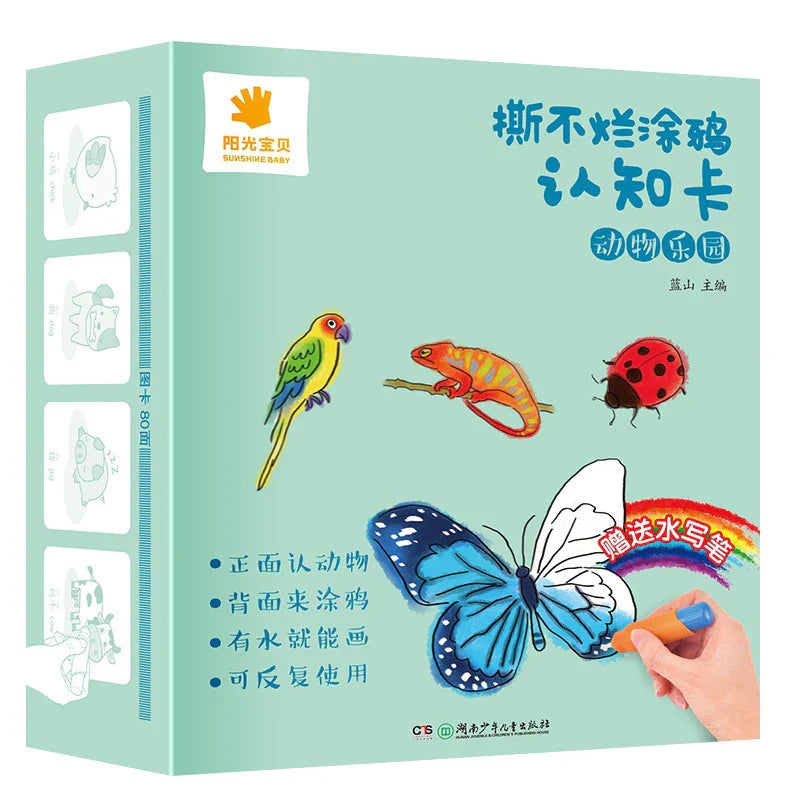 ColorSplash™ Reusable Water Coloring Flash Cards